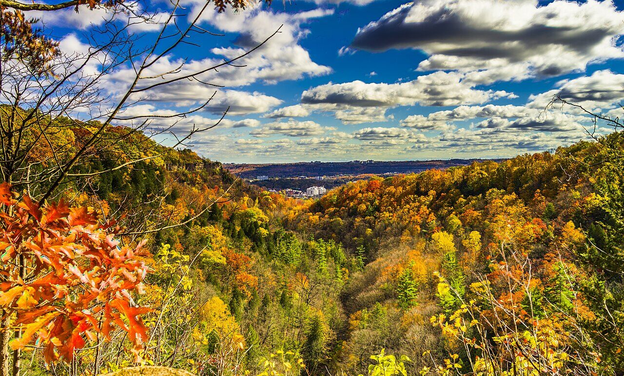 The autumn valley view from Dundas Peak toward the harbour